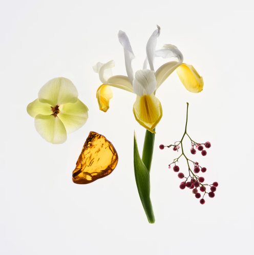 Glossier - You eau de parfum 50ml