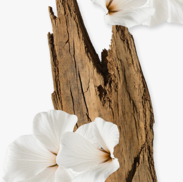 PARFUMS de MARLEY - Valaya